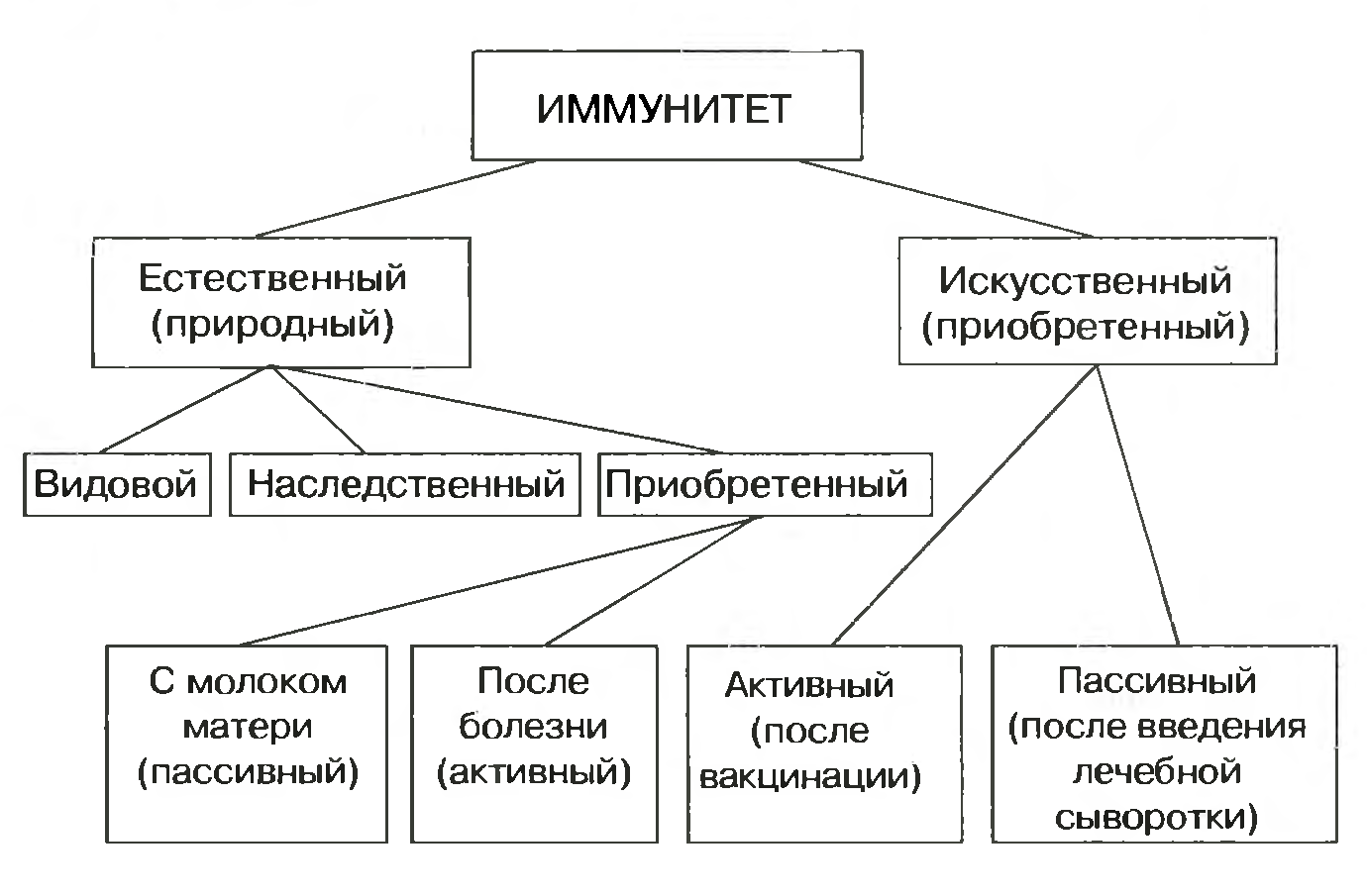 Схема