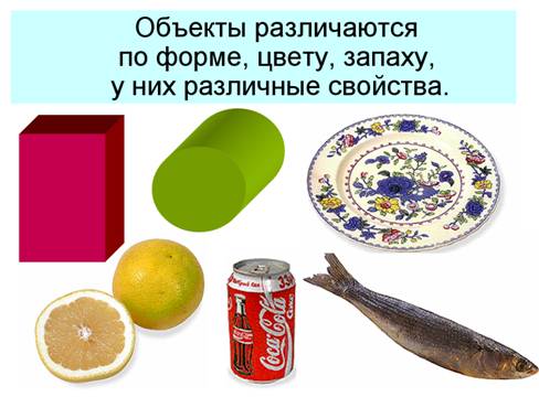 Различие объектов между собой