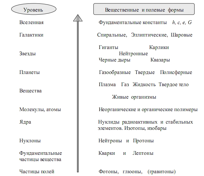 Пространственный аспект иерархии структурных уровней