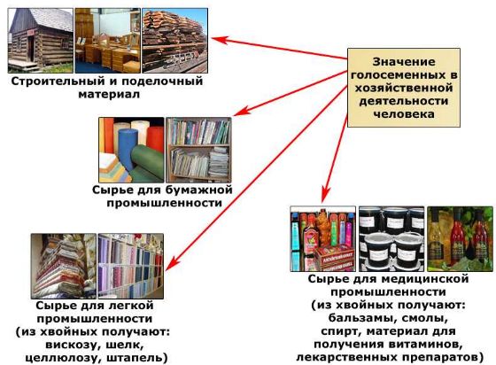 Файл:Biolog 6kl T1 konsp 03.jpg