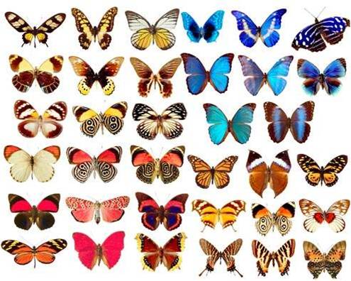 Файл:Img 15.08.12 05.jpg