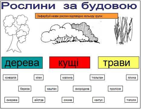 Opciidekabrgolubkova-18.JPG