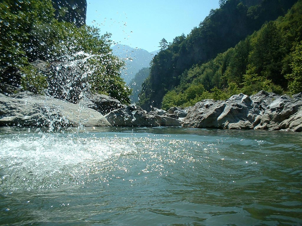 Water (17).jpg