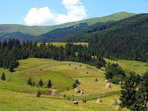 Файл:Карпатыюозп.jpg