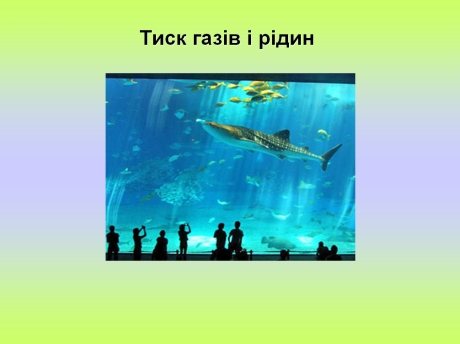 11 20 03.jpg