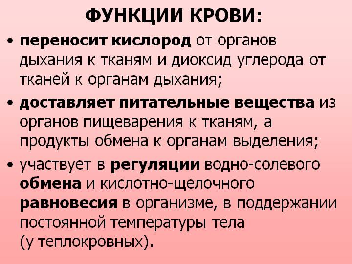 функции крови