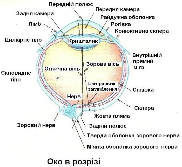 Око.jpg