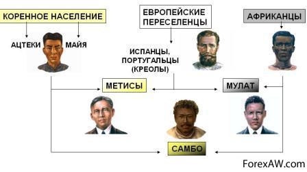 Етнічний склад населення Латинської Америки