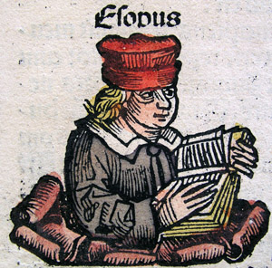 Ekon6-326.jpg