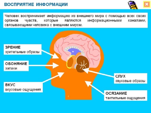 Звук