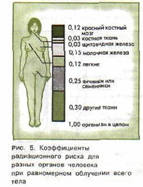 Коэффициенты радиационного риска