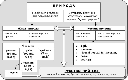 16 02 2012 22.jpg