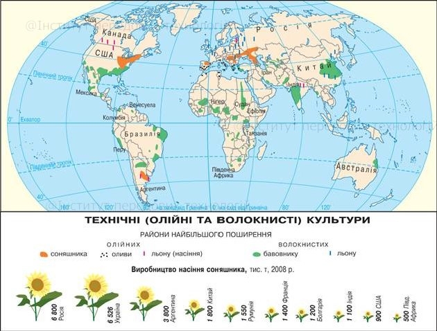 Технічні культури