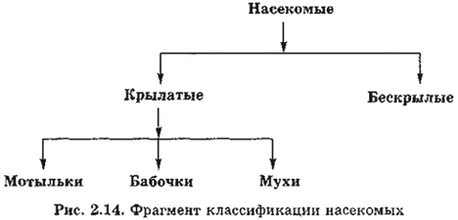 Фрагмент классификации насекомых