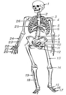 MatI-10-115.jpg