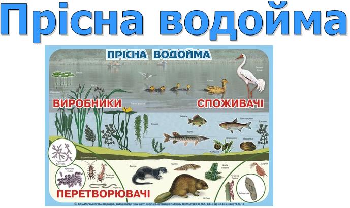 JaiUkr4 52-pr1.jpg