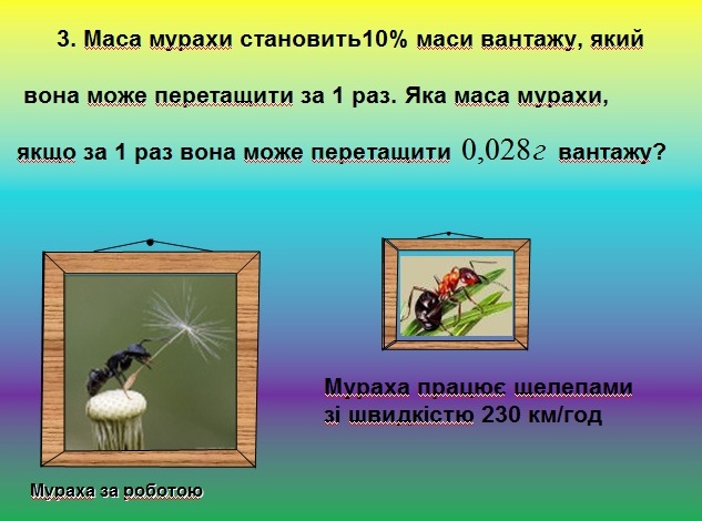 задача