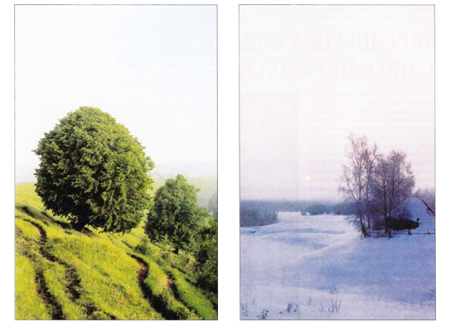 30-05-044.jpg