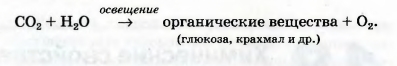 Химическое уравнение