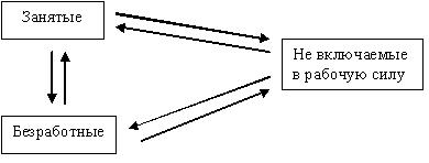 Qw338.jpg