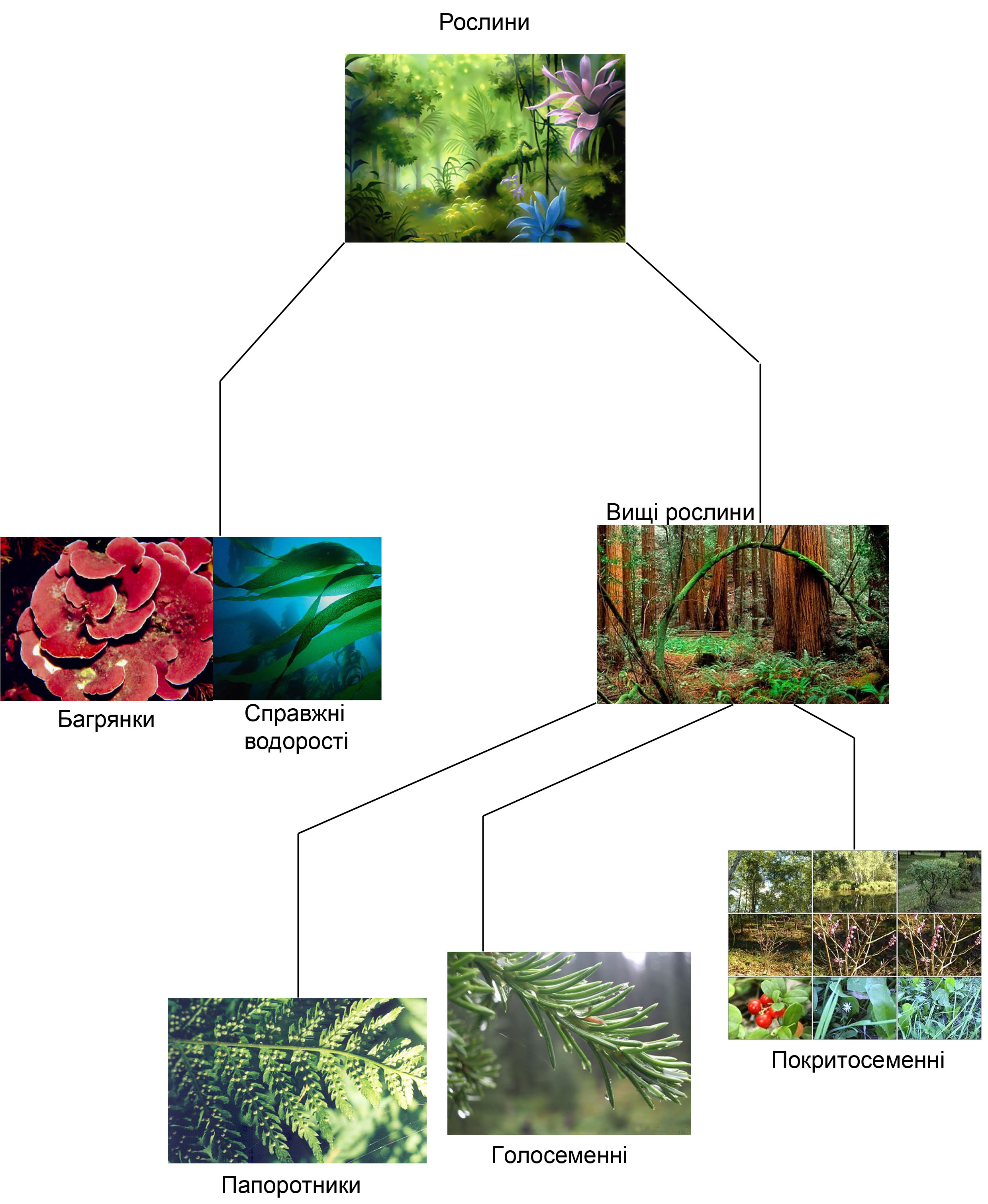 Schema.jpg