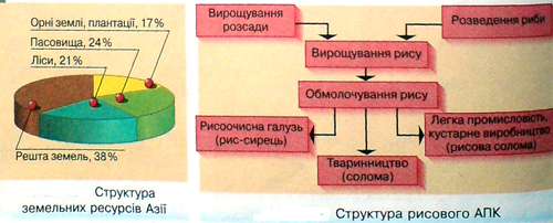 Географія23(5).jpeg