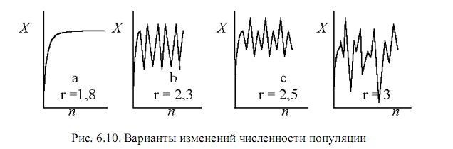 популяция