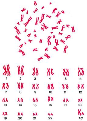 Bio10 20 8.jpg