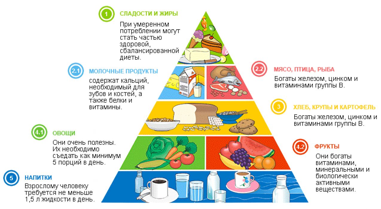 здоровое питание