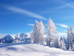 Winter1.jpg