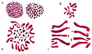 Bio10 20 7.jpg