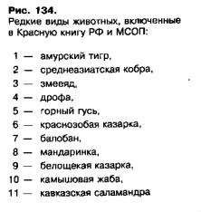 1101-42.jpg