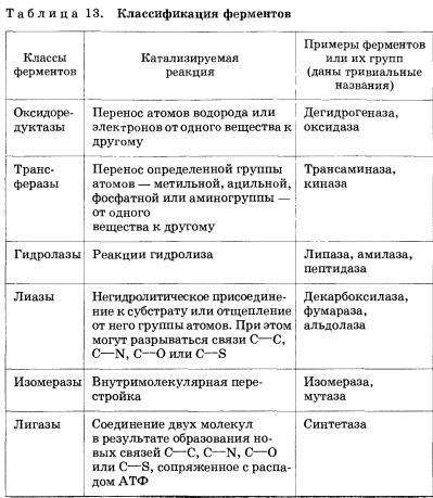 Ферменты