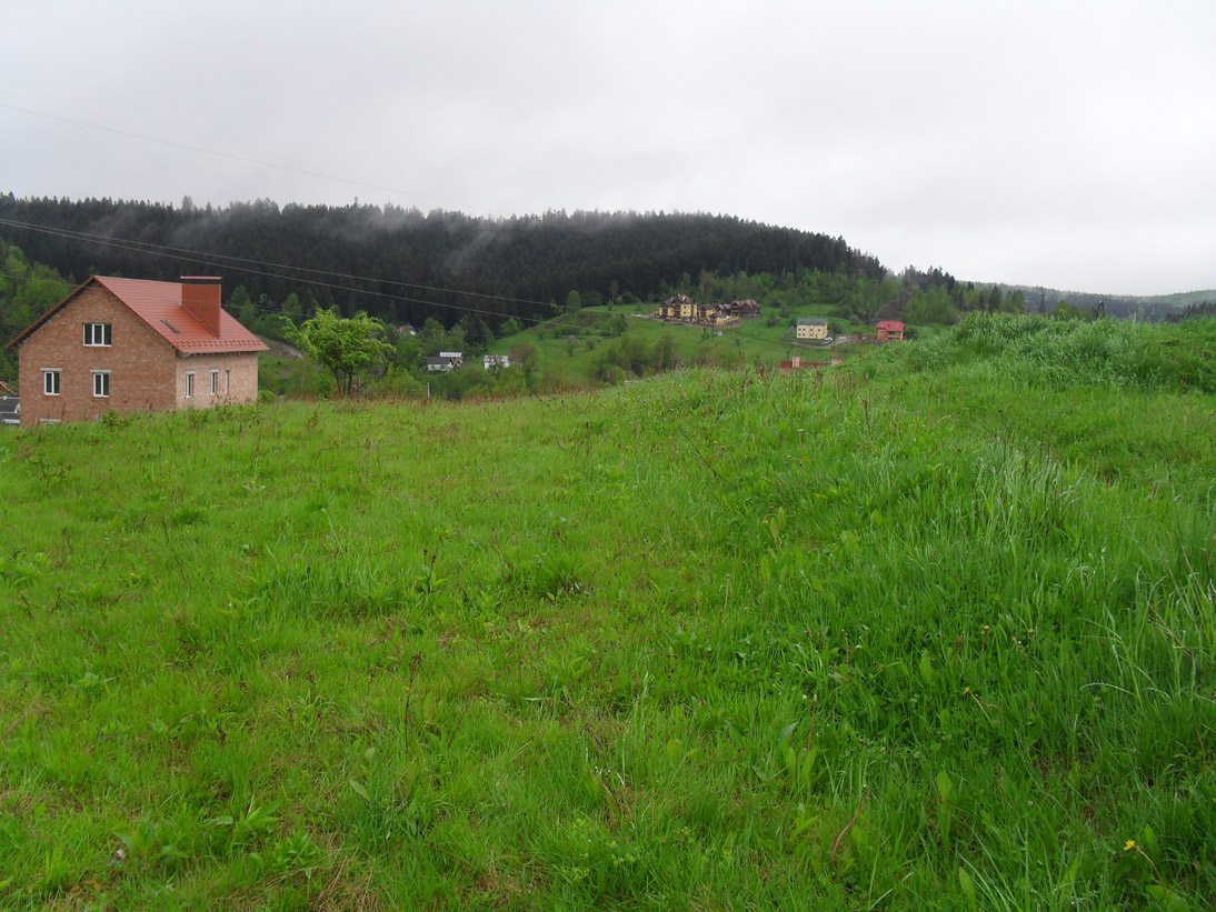 Opciidekabrgolubkova-33.JPG