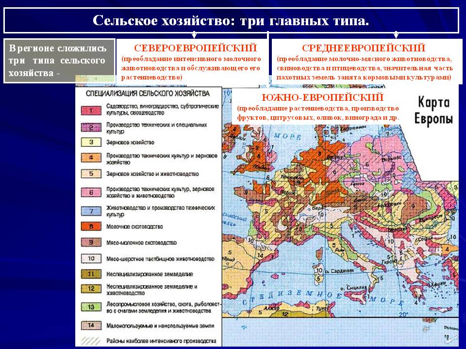 Структура сільського господарства