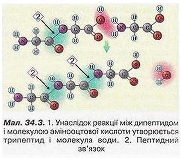 Chemistry 228 3x.jpg