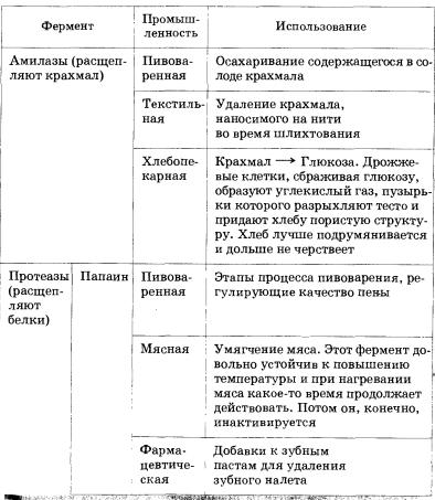 Ферменты