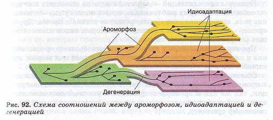 Схема соотношений