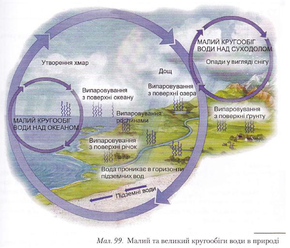 Малий та великий кругообіг води в природі