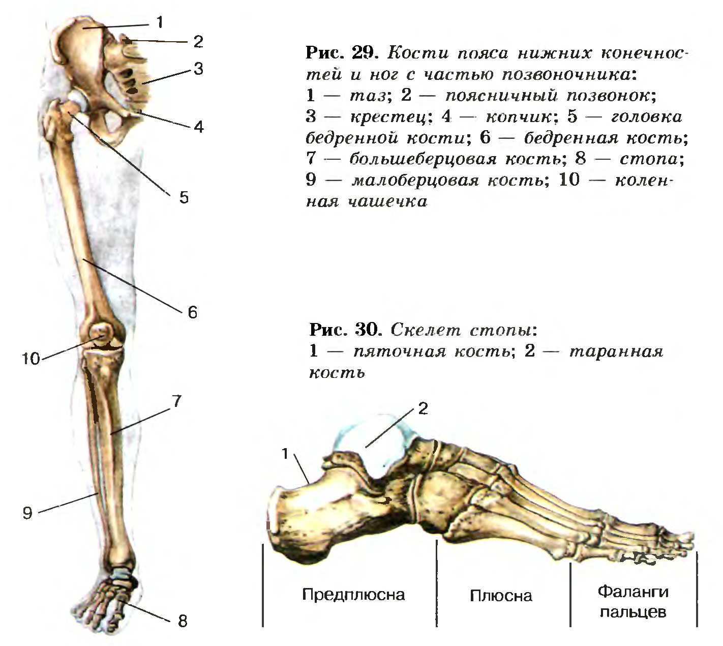 Файл:8 12 16 2.png