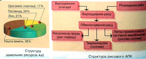 Структура земельних ресурсів Азії
