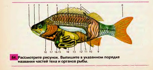 Задание