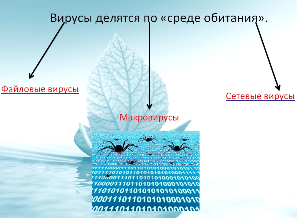 0603-19.jpg