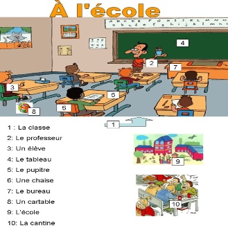 1 fr 7.jpeg