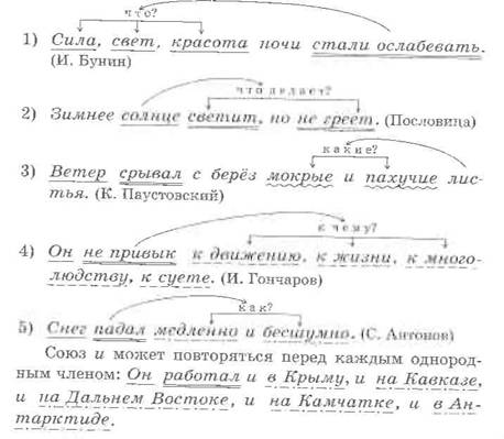 6 rus5 3.jpg