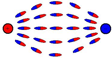 Файл:Den 7 9 4.jpg