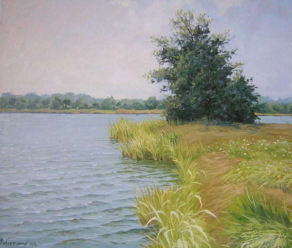 Landscape mal6 17 il3.jpg