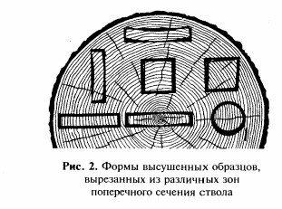 ствол