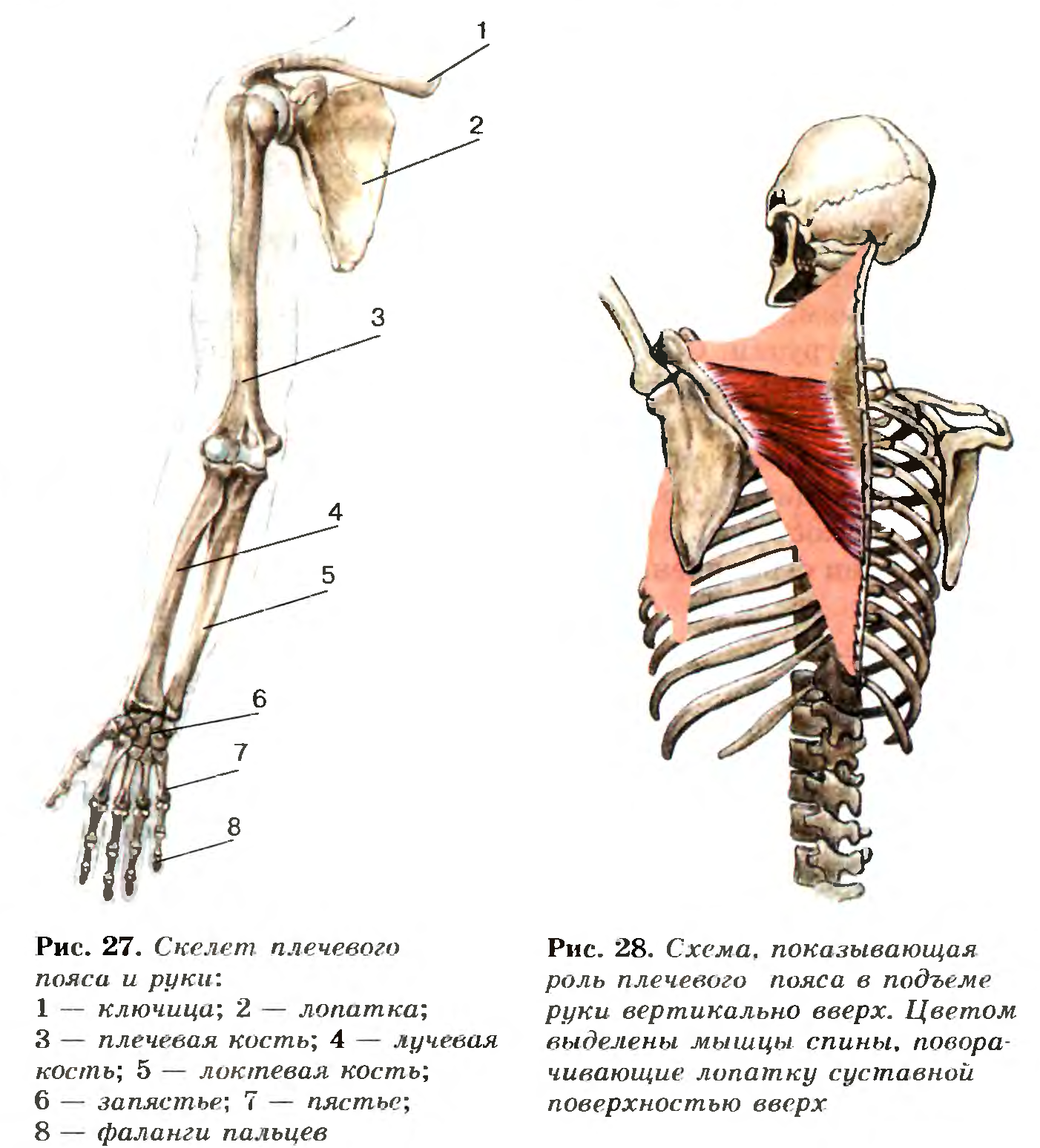 Файл:8 12 16 1.png