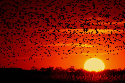 Sunrise 000000077.jpg